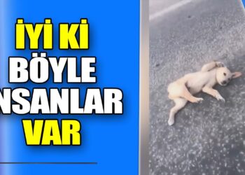İyi ki böyle insanlar var | Duygulanmamak mümkün değil