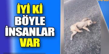İyi ki böyle insanlar var | Duygulanmamak mümkün değil