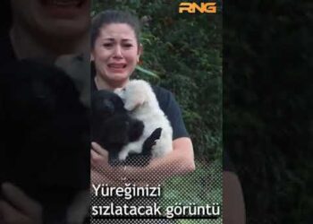 Yürekleri sızlatacak görüntü | Üç yavru köpeği poşete koyup nehre atılar #short