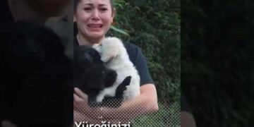 Yürekleri sızlatacak görüntü | Üç yavru köpeği poşete koyup nehre atılar #short