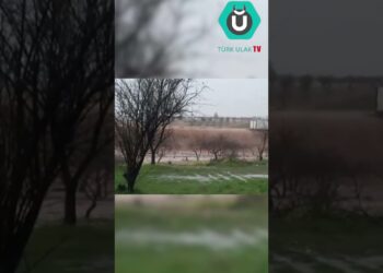 Sel Sularının İçinden Geçmeye Çalışan Bir Tır Devrilip, Suda Sürüklendi.