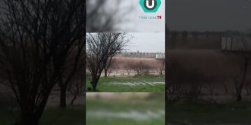 Sel Sularının İçinden Geçmeye Çalışan Bir Tır Devrilip, Suda Sürüklendi.